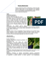 Plantas Medicinales