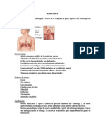 Hernia Hiatal