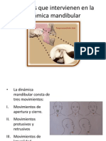 Músculos Que Intervienen en La Dinámica Mandibular