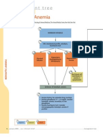 Diagnostic Tree - Hemolytic Anemia