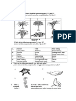 Diagram 1 Shows Plants Classified Into Three Groups P, Q and R