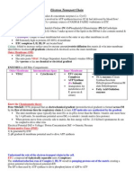 Electron Transport Chain Notes