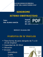 Sindrome Icteroobstructivo