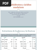 Estructura Del Azucar