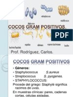 Coco Gram Positivos