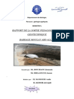 Département de Géologie RAPPORT PDF