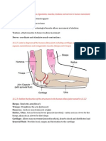 HL IB Biology