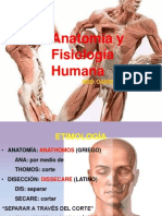 Anatomia Humana IV Clase Upt