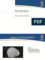 Bischofita Javier Gutierrez