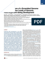 The Architecture of A Scrambled Genome Reveals Massive Levels of Genomic Rearrangement During Development