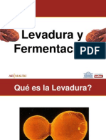 Presentacion Levadura y Fermentacion