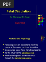 1 Fetal Circulation