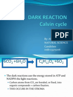 Dark Reaction