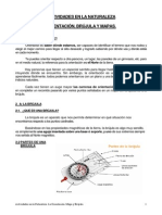 794 - El Mapa y La Brújula PDF