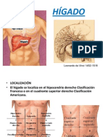 HIGADO Anatomía