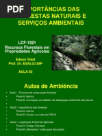 Ambiencia - Importância Das Florestas PDF