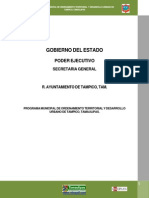 Programa Municipal Tampico PDF