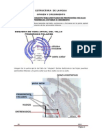 Estructura de La Hoja PDF