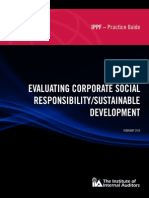 CSR - IIA Practical Guide PDF