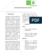 Informe ESPUMA para Entregar