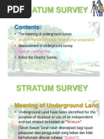 Chapter 4 - Stratum Survey