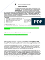 Heart Dissection Lab Report Guide (GALO)