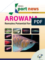 Export Feb Arowana