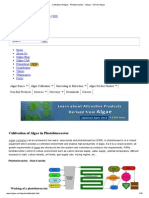 Cultivation of Algae - Photobioreactor - Oilgae - Oil From Algae