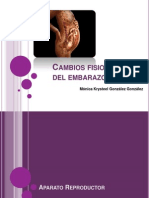 Cambios Fisiologicos en El Embarazo