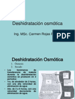 Deshidratación Osmótica 13