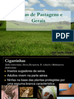 Pragas de Pastagens 2012 PDF