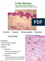 Basic Skin Histology: Mark Berryman, Dept. of Biomedical Sciences Ohio University College of Osteopathic Medicine, Athens