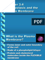 Membrane Structure and Homesostasis 2007