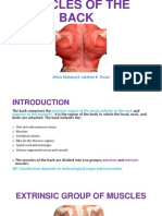 Muscles of The Back