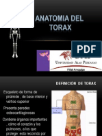 Anatomia Torax