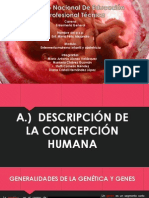 Descripcion de La Concepcion Humana