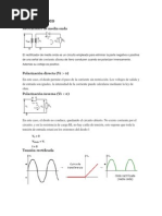 Informe 2 E. Basica