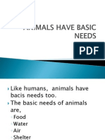 Animals Have Basic Needs