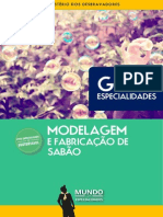 Modelagem e Fab. de Sabão