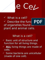 What Is A Cell? Describe The Functions of Organelles