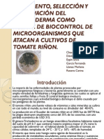 Presentación Proyecto Trichoderma