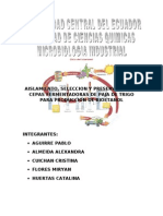 Proyecto Alcohol de Paja de Trigo