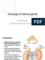 Histology of Adrenal Gland