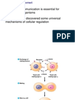 CH 11 PPT Cell Communication 1