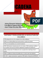 Alimentación Vacunas PDF