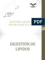 Metabolismo de Lipidos