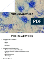 Aula 3 - Micoses Superficiais