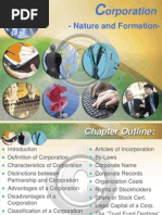 Chapter 6 - Nature and Formation - Fin