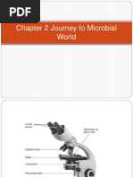 Chapter 3 and 4 Nutrition, Culture and Enzymes