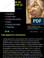 Histologie Du Tube Digestive